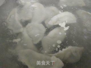 冻山芹菜猪肉馅水饺的做法步骤：8