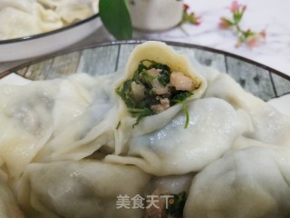 冻山芹菜猪肉馅水饺的做法步骤：9