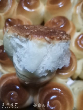 蜂蜜小面包的做法步骤：16