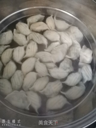 茴香鸡蛋饺子的做法步骤：8