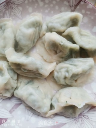 茴香鸡蛋饺子的做法步骤：9