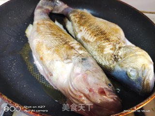 豆瓣红烧鲈鱼的做法步骤：4