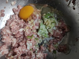 猪肉旱萝卜丸子的做法步骤：8