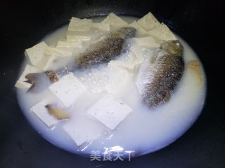 鲫鱼豆腐汤的做法步骤：9