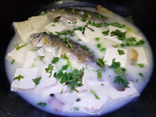 鲫鱼豆腐汤的做法步骤：10