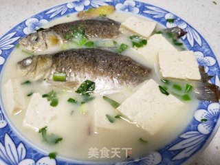 鲫鱼豆腐汤的做法步骤：11