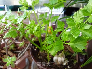 干煸蚕蛹的做法步骤：1
