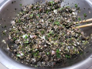 马齿菜肉包的做法步骤：9