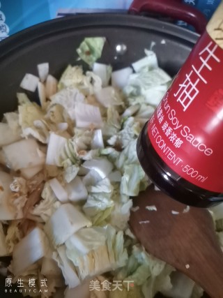炖白菜鸡肉丸子的做法步骤：6