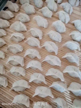 韭菜干萝卜皮饺子的做法步骤：12
