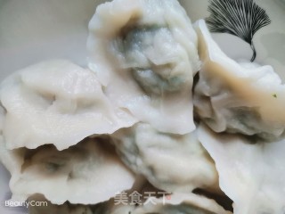 韭菜干萝卜皮饺子的做法步骤：13