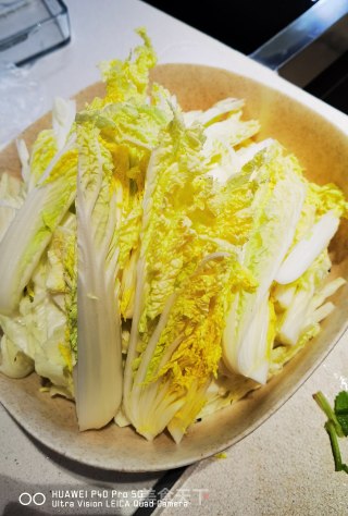 低脂的白菜肉丸炖粉条的做法步骤：20