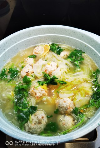 低脂的白菜肉丸炖粉条的做法步骤：31