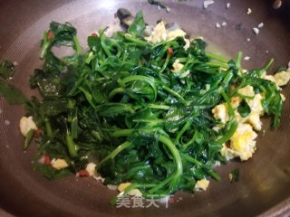 上汤豆苗的做法步骤：10