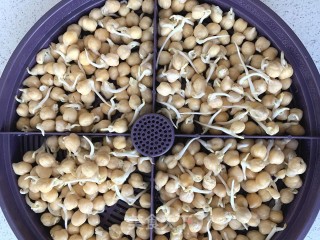 自发鹰嘴豆芽炒混搭的做法步骤：2