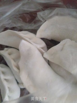 砂锅水饺的做法步骤：6