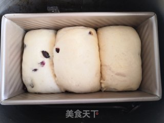 蔓越莓吐司的做法步骤：11