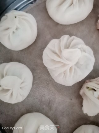 韭菜鸡蛋虾皮包子的做法步骤：8