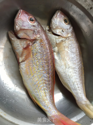香煎黄花鱼的做法步骤：3