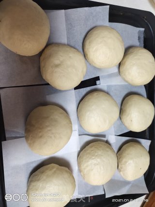 肉松面包的做法步骤：12