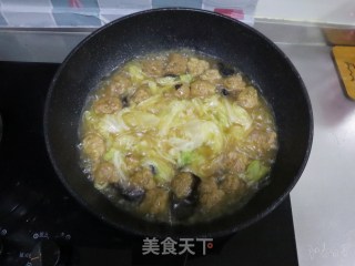 牛肉丸粉条炖白菜（无油清炖更健康）的做法步骤：5