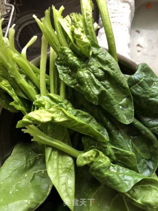 小米椒拌菠菜的做法步骤：1