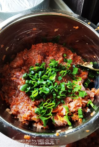 牛肉萝卜馅水饺的做法步骤：29