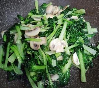塌菜烧圆蘑菇的做法步骤：4