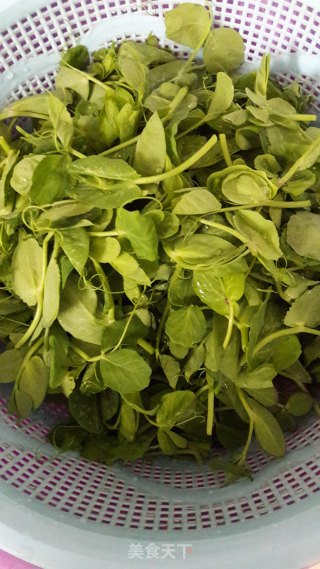 蒜炒豆苗的做法步骤：1