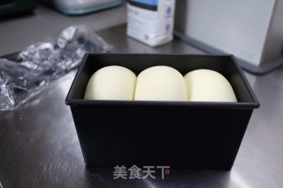波兰种原味吐司的做法步骤：13