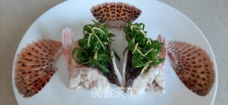 石九公两吃——清蒸石九公的做法步骤：5