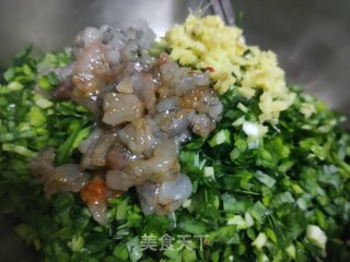 韭菜虾仁鸡蛋水饺的做法步骤：8