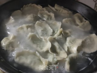 韭菜虾仁鸡蛋水饺的做法步骤：12
