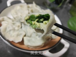 韭菜虾仁鸡蛋水饺的做法步骤：15