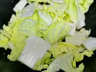 白菜煮豆腐的做法步骤：5