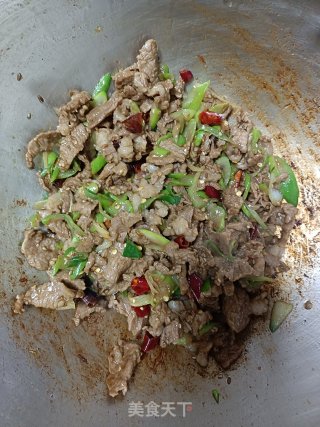 孜然羊肉的做法步骤：9