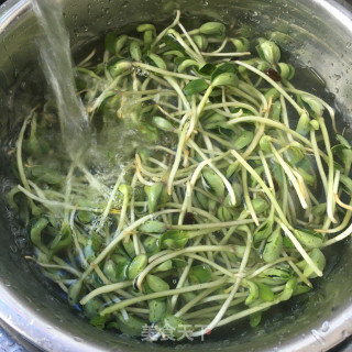 蒜香炒豆苗的做法步骤：1