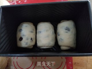 葡萄干蛋奶吐司的做法步骤：11