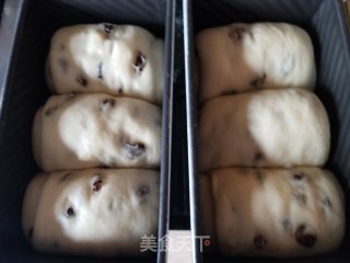 葡萄干蛋奶吐司的做法步骤：12