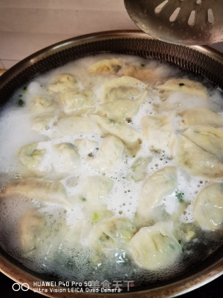 韭菜鸡蛋馅饺子的做法步骤：12