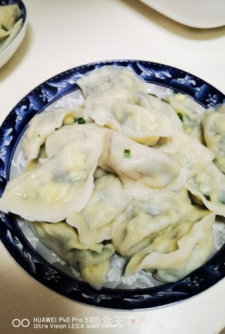 韭菜鸡蛋馅饺子的做法步骤：13