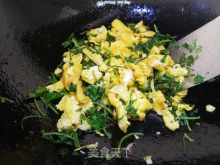香菜炒鸭蛋的做法步骤：5