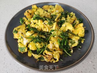 香菜炒鸭蛋的做法步骤：6