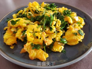 香菜炒鸭蛋的做法步骤：7