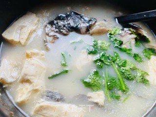 汤鲜味美的鱼头豆腐汤的做法步骤：11