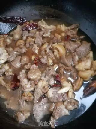 红烧羊腿肉的做法步骤：9