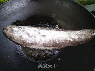 麻辣酱炖比目鱼的做法步骤：2
