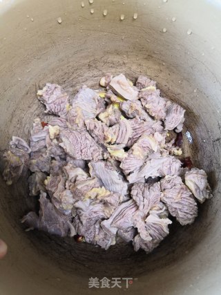 清炖牛肉的做法步骤：4