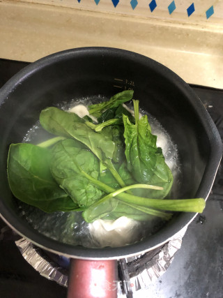 红油菠菜饺的做法步骤：3