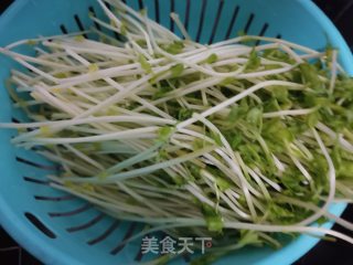 凉拌龙须苗的做法步骤：1